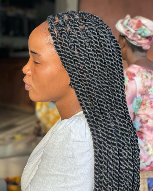 Natural Braids Hairstyles