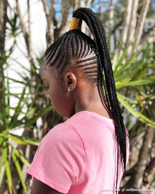 Hottest Ghana Braids Hairstyle Ideas for Women to try now (7)