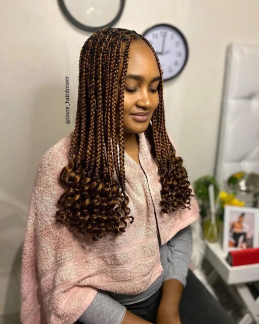 Braids Hairstyles (4)