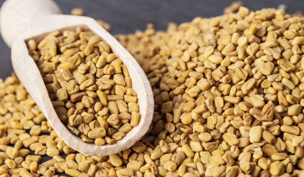 Health And Beauty Benefits Of Fenugreek