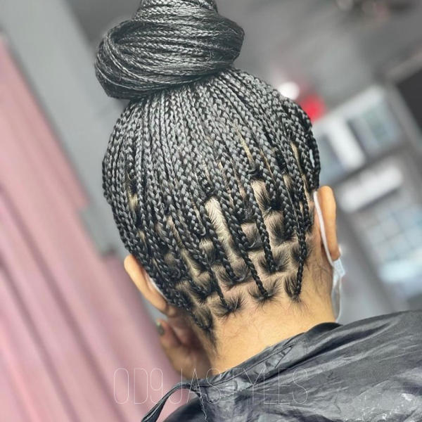 Knotless Box Braids