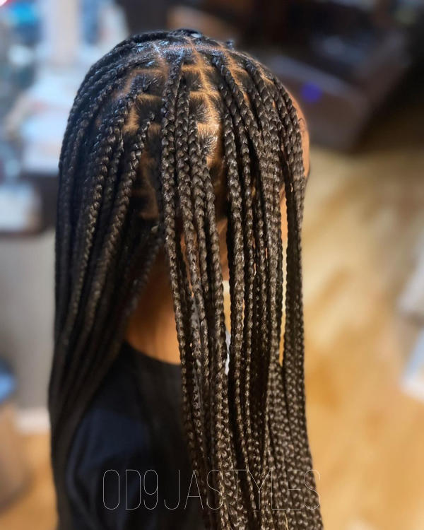 Knotless Box Braids