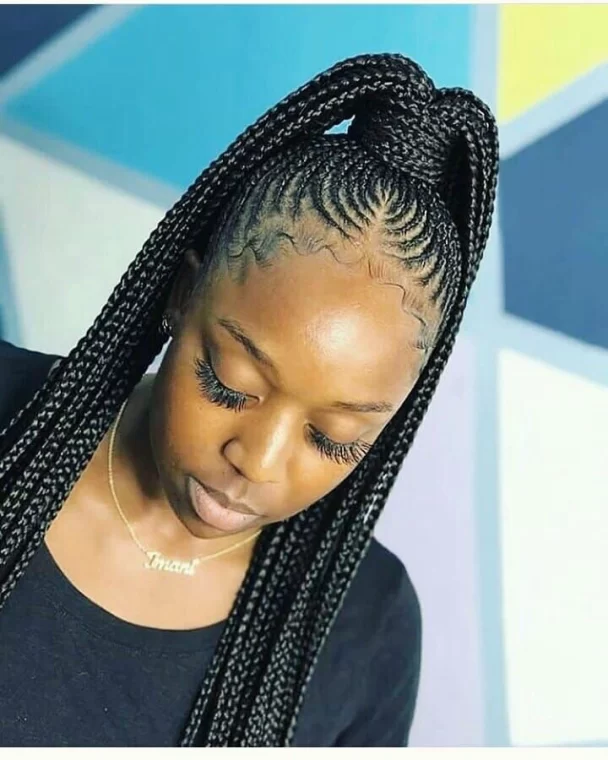 50 Beautiful Hairstyles Fashionistas Should Consider Plaiting This Month (4)