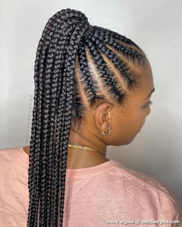 50 Jaw-Dropping Braided Hairstyles to Try in 2022 - Hair Adviser (1)