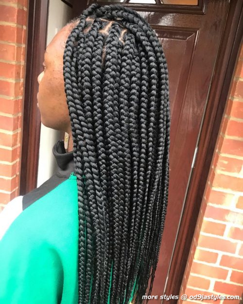 Long Box Braids Hairstyles (1)