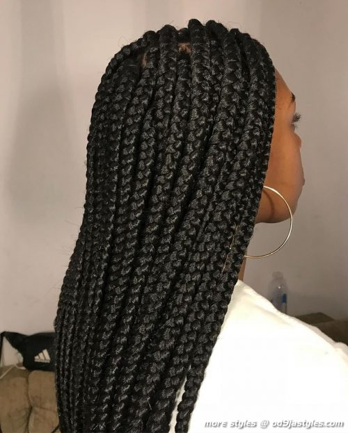 Long Box Braids Hairstyles (10)