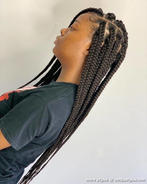 Long Box Braids Hairstyles (12)