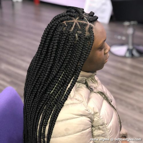 Long Box Braids Hairstyles (14)