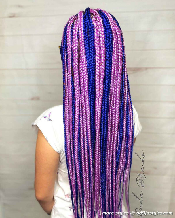 Long Box Braids Hairstyles (2)