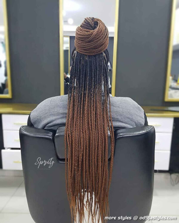 Long Box Braids Hairstyles (3)