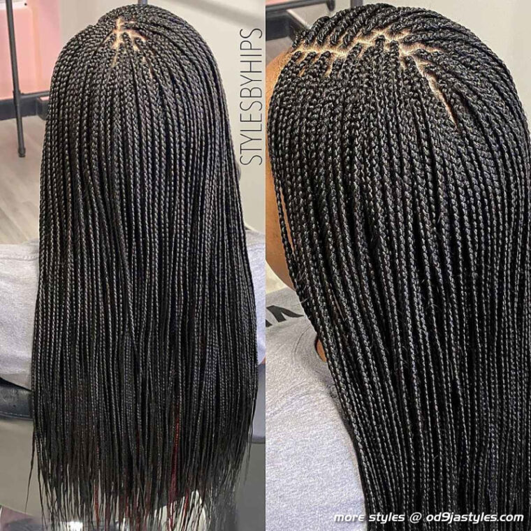 Long Box Braids Hairstyles (4)