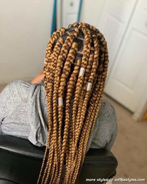 Long Box Braids Hairstyles (7)