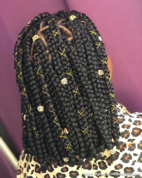 Long Box Braids Hairstyles (8)