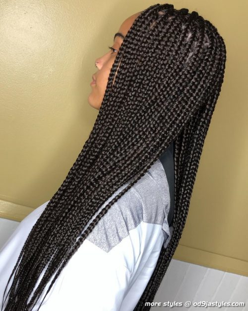 Long Box Braids Hairstyles (9)