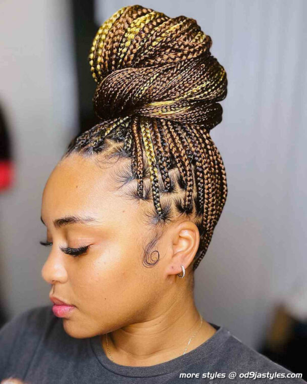 stylish-braided-updo-for-black-women