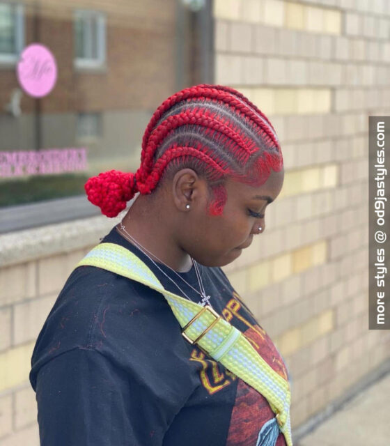 braids hairstyles for black women (1)