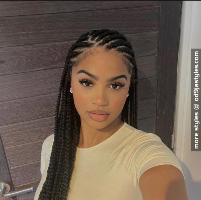 braids hairstyles for black women (10)