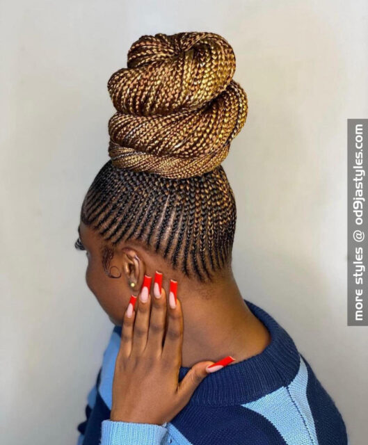 braids hairstyles for black women (19)