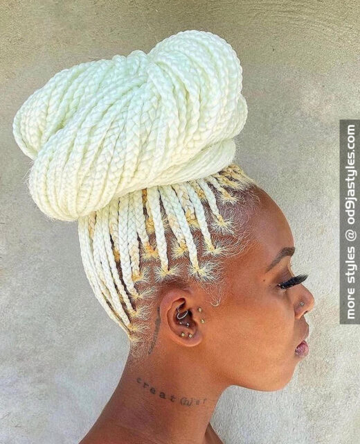 braids hairstyles for black women (20)