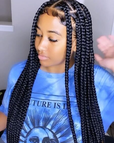 Get The Perfect Chic Look With Big Knotless Braids For Stunning Style ...