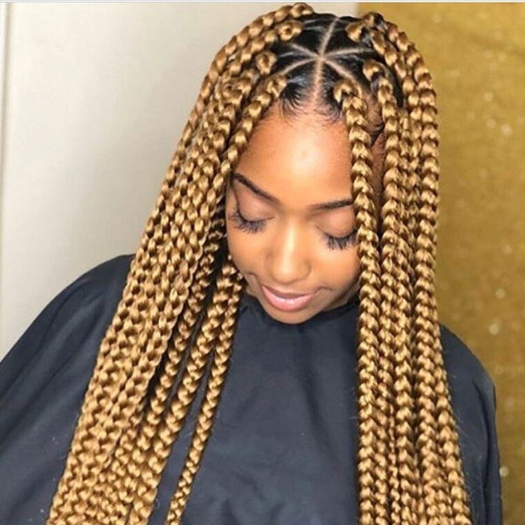 Big Knotless Braids