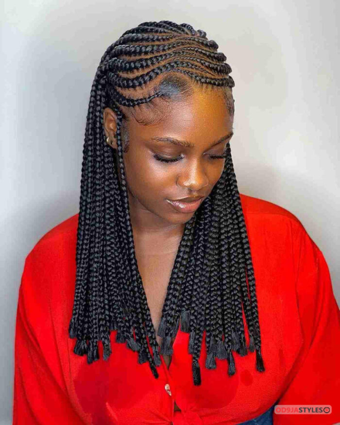 The 10 Protective Hairstyles For Natural And Relaxed Hair (70 IMAGES)