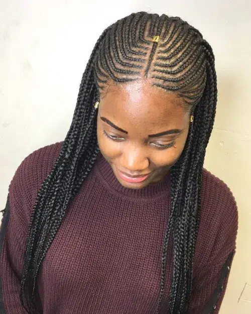 Minimalistic Fulani Braids with Geometric Crown