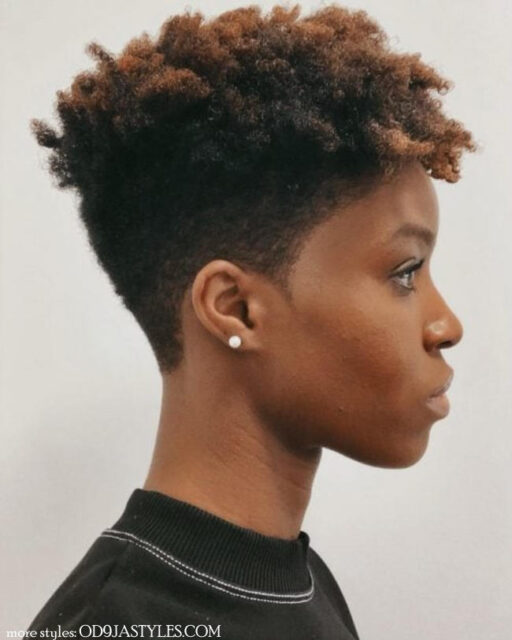 short tapered haircut female