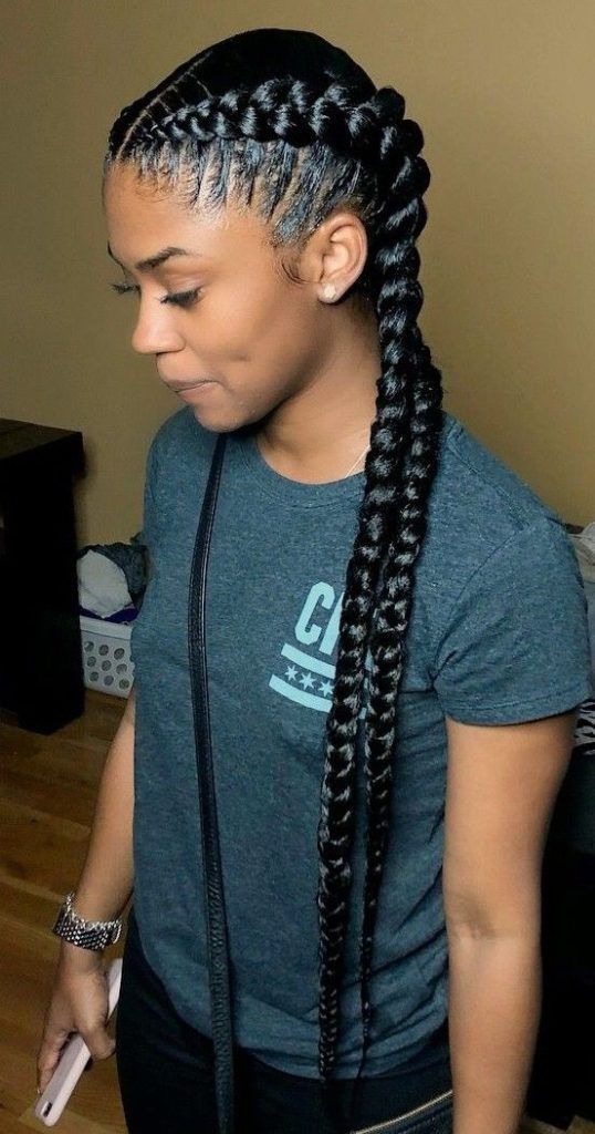 Twin Braids Versatile and Protective